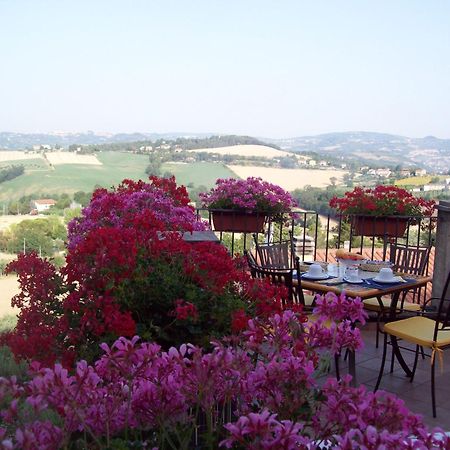 La Terrazza Fio...Rita Bed and Breakfast Ripa Exteriör bild